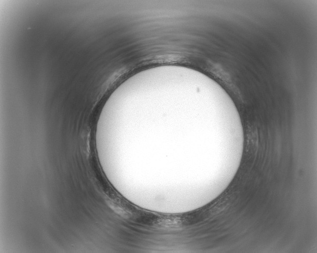 X0000056020110200509170020