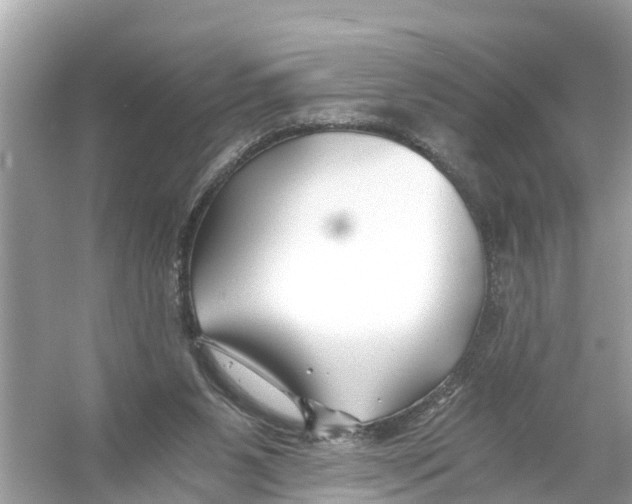 X0000056020111200509170020