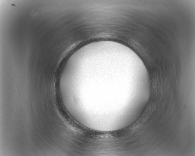 X0000056020112200509170020