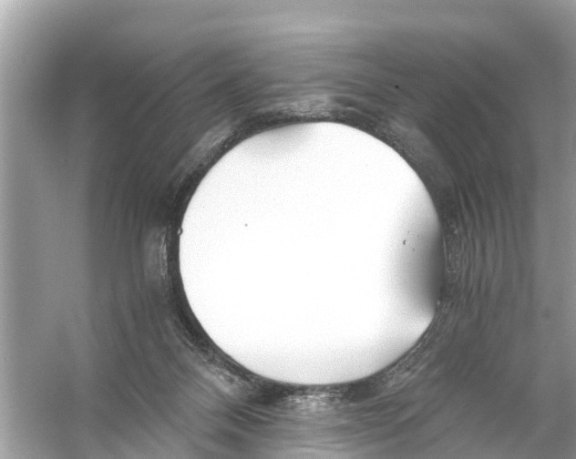 X0000056020120200509170020