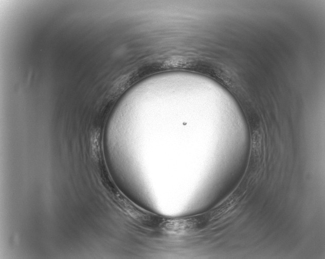 X0000056020127200509170020
