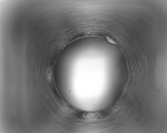 X0000056020129200509170020