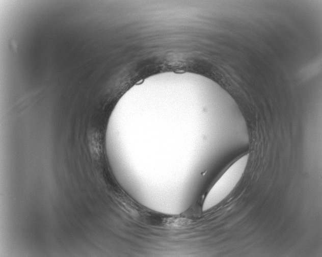 X0000056020135200509170020