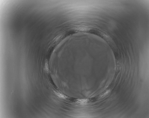 X0000056020143200509170020