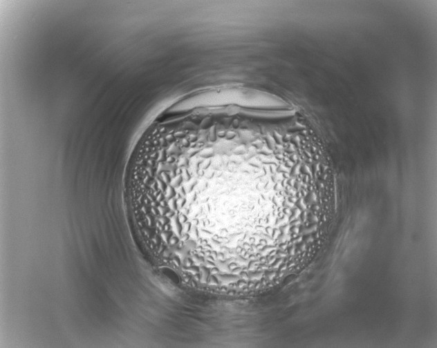 X0000056020147200509170019