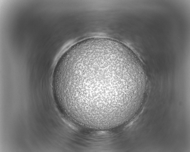 X0000056020151200509170019