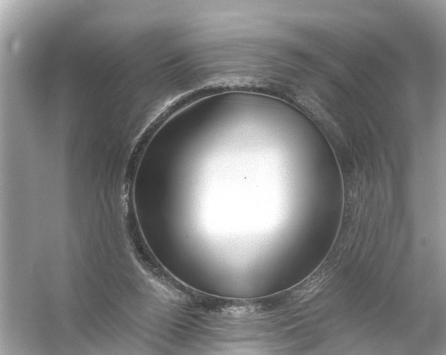 X0000056020160200509170019