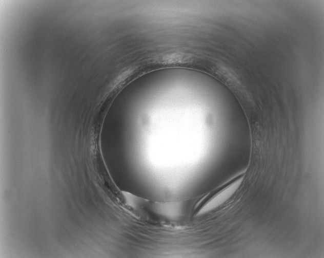 X0000056020164200509170019