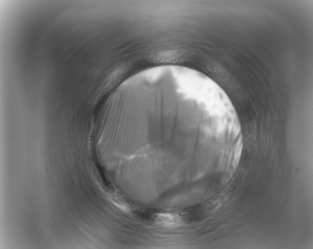 X0000056020167200509170019