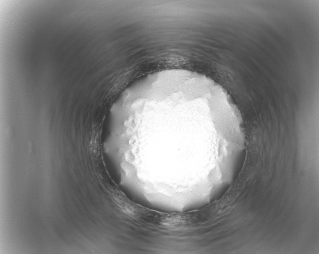 X0000056020177200509170020