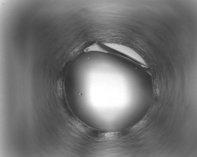 X0000056020184200509170020