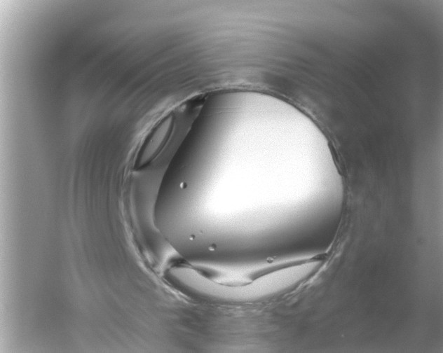 X0000056020193200509170019