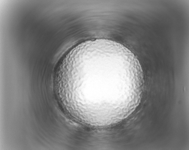 X0000056020194200509170019
