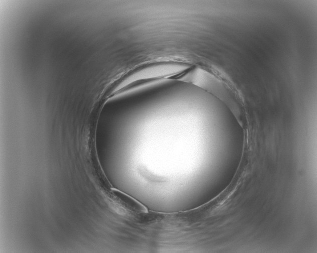X0000056020201200509170019