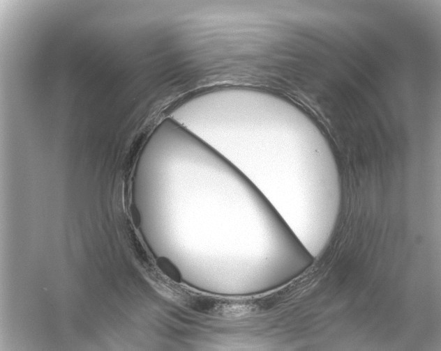 X0000056020205200509170019