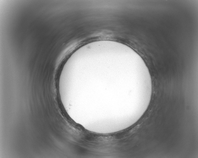 X0000056020245200509170017