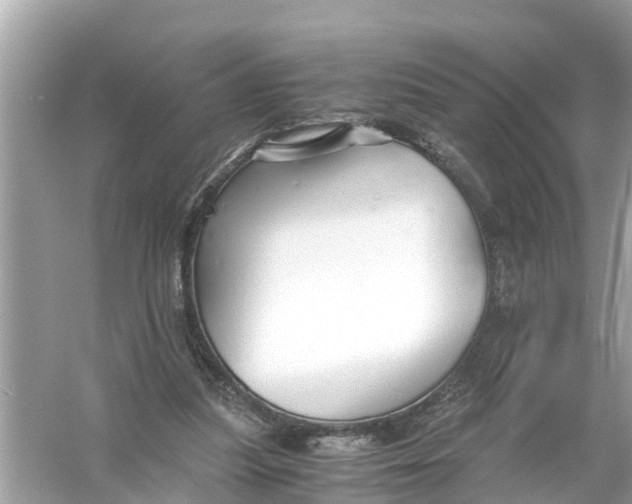 X0000056020251200509170018