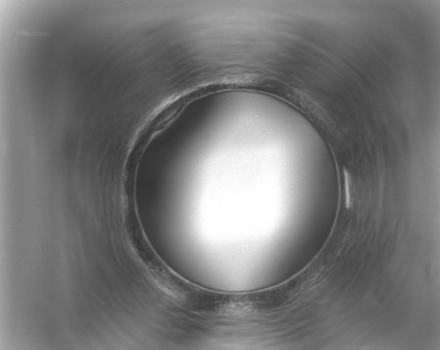 X0000056020252200509170018