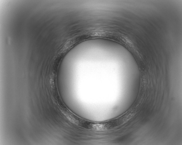 X0000056020265200509170018