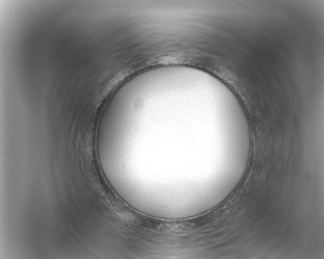 X0000056020297200509170017