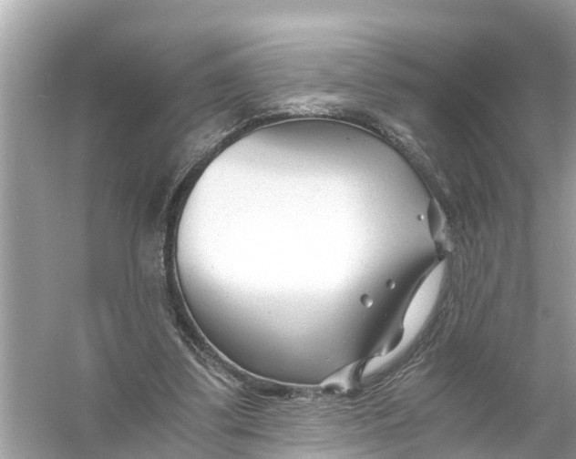 X0000056020299200509170017