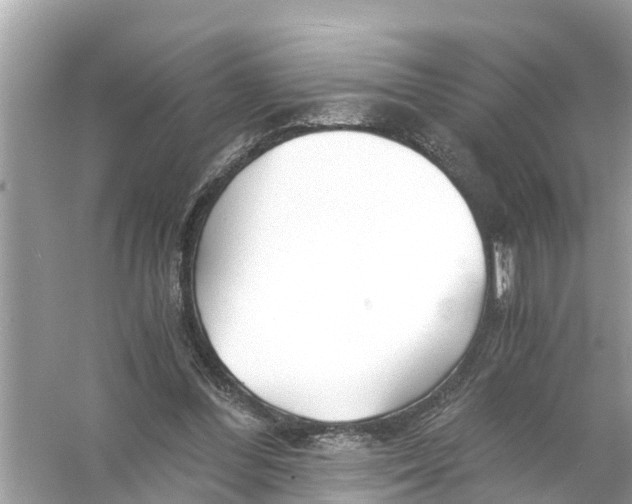 X0000056020300200509170017