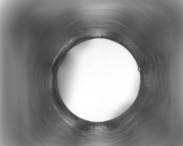 X0000056020304200509170017