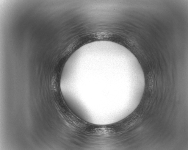 X0000056020316200509170017