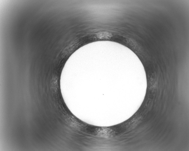 X0000056020321200509170017