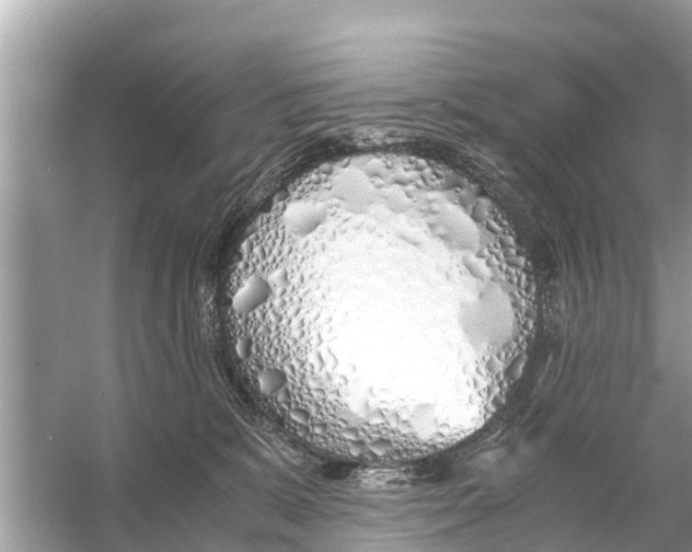 X0000056020327200509170017