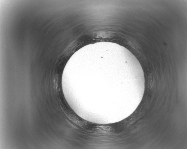X0000056020328200509170017
