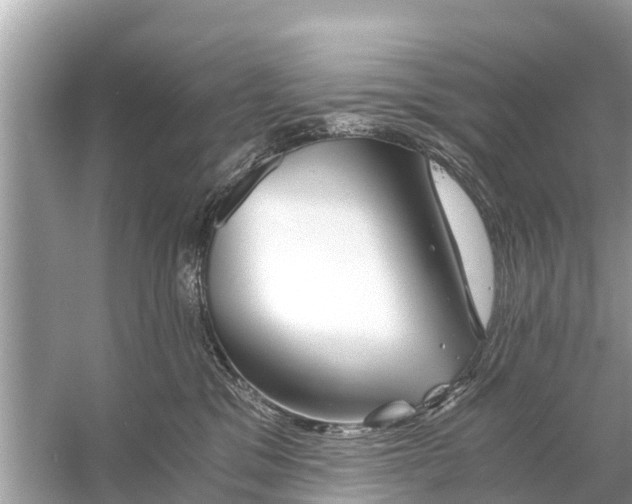 X0000056020329200509170017