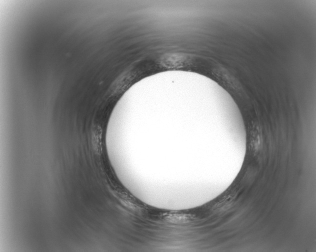 X0000056020332200509170017