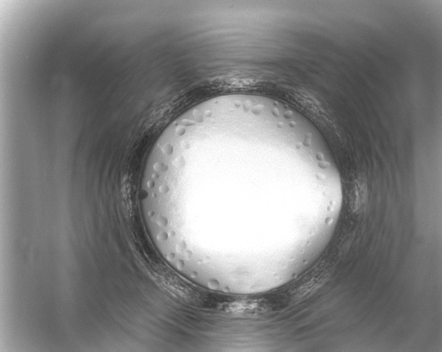 X0000056020366200509170016
