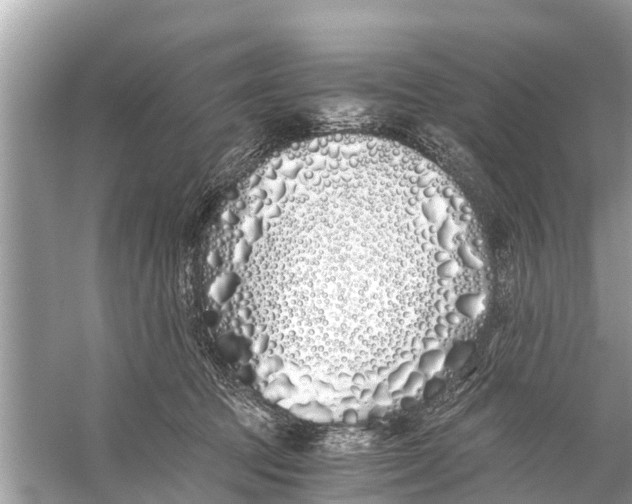 X0000056020369200509170016