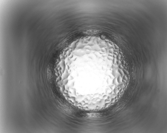 X0000056020371200509170016