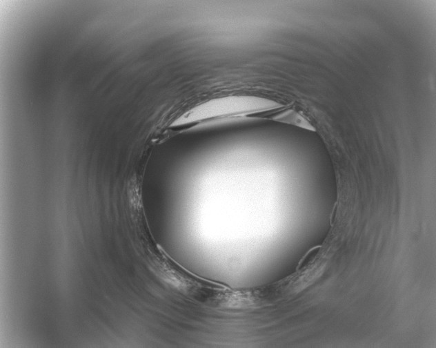 X0000056020384200509170017