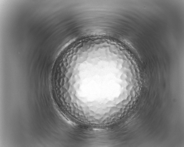 X0000056020390200509170016