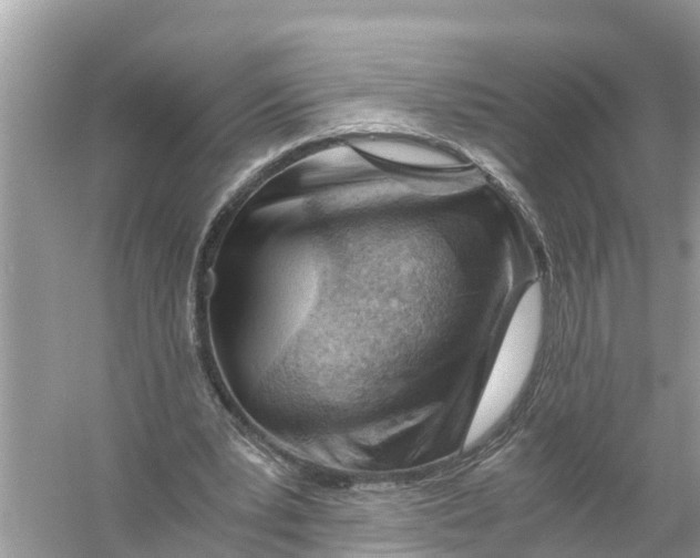 X0000056020391200509170016