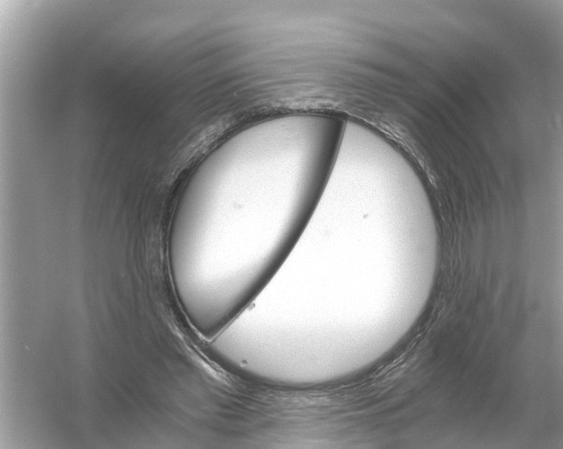 X0000056020397200509170016