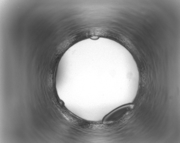 X0000056020401200509170015
