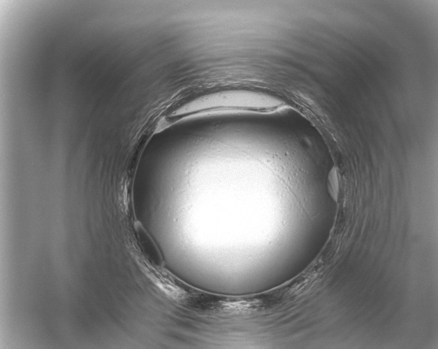 X0000056020405200509170015