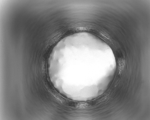 X0000056020410200509170015