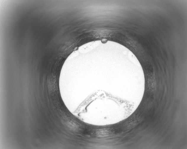 X0000056020411200509170015