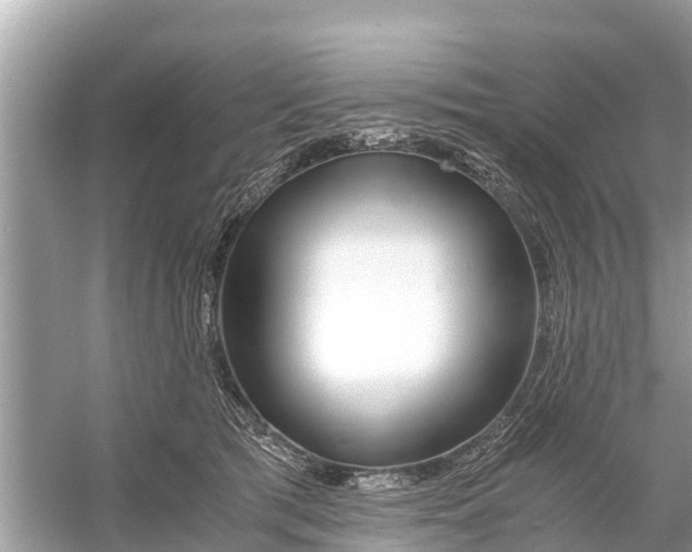 X0000056020417200509170015