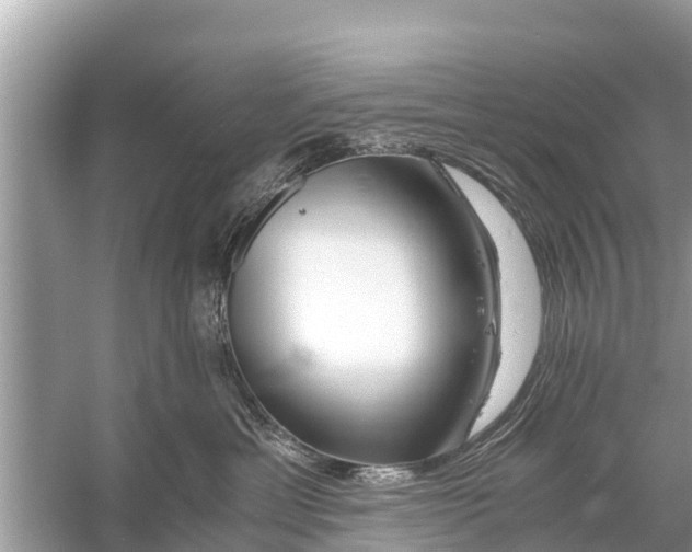 X0000056020429200509170015