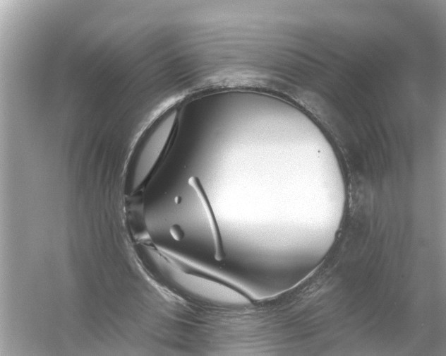 X0000056020438200509170014