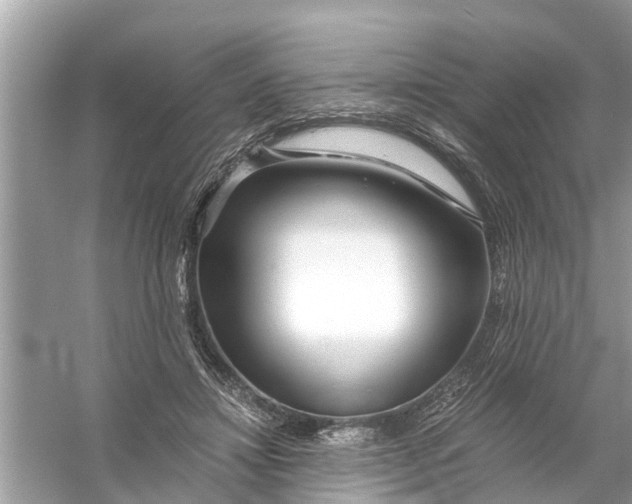 X0000056020452200509170014