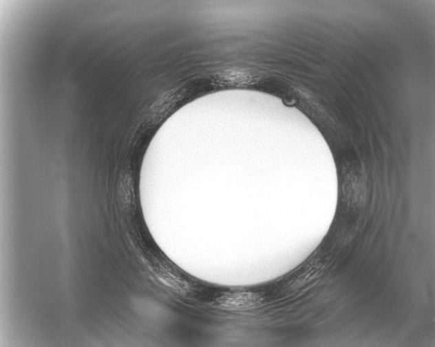 X0000056020459200509170015
