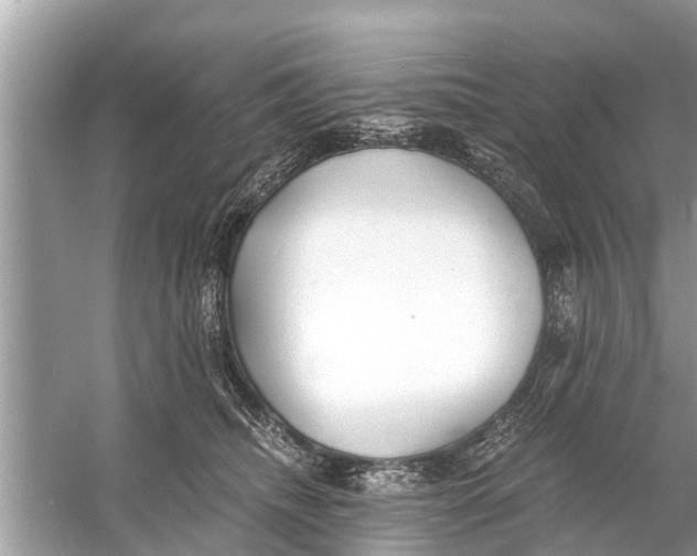 X0000056020468200509170015